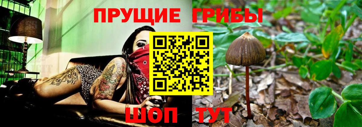 Галлюциногенные грибы мухоморы  Вход с VPN  Каспийск 
